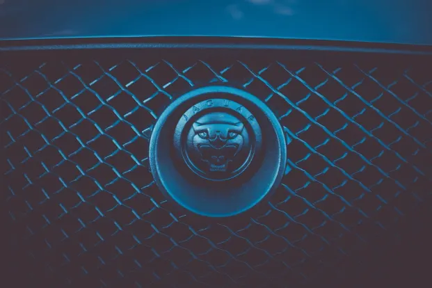 Cleopatra Kasino Android/iOS Sovellus